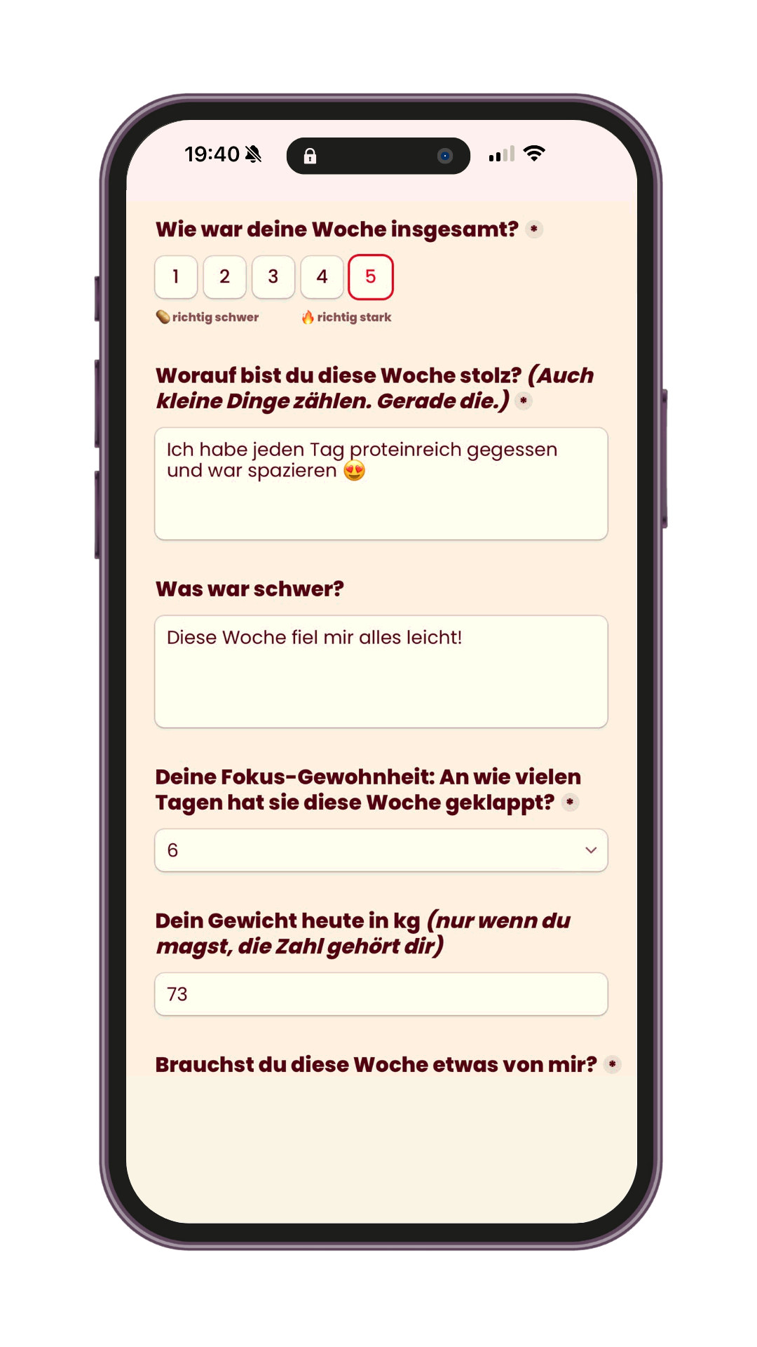 Beispiel eines ausgefüllten POWER Check-Ins am Handy